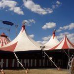 Kommunen förbjuder cirkus med vilda djur