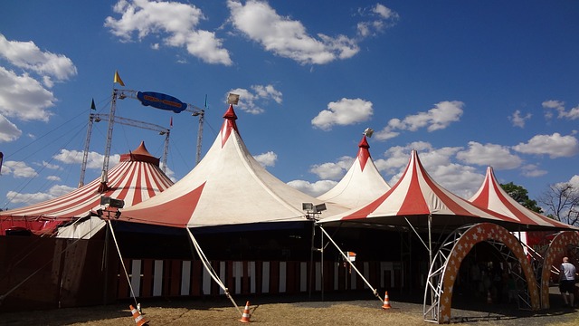 Kommunen förbjuder cirkus med vilda djur