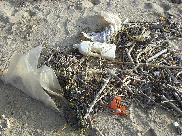 Glädjande miljöbeskedet: Färre plastpåsar i Nordsjön