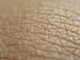 Human skin close-up