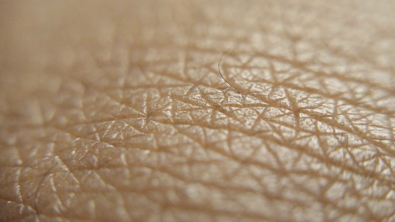 Human skin close-up