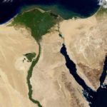 Forskare använder avloppsvatten för att odla skog i Egyptens öken